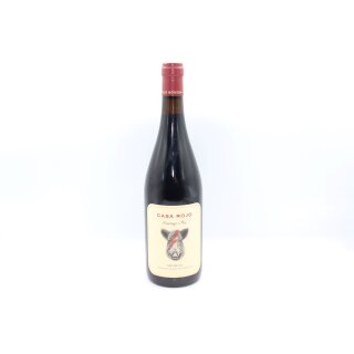 CASA ROJO Enemigo Mio  2024 0,75 ltr. IGP