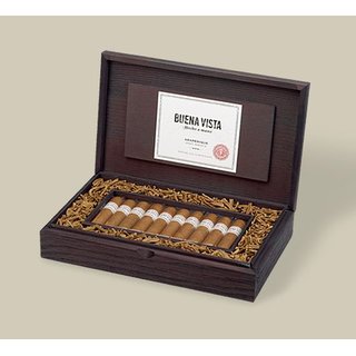 Buena Vista Araperique Short Robusto 1 Zigarre