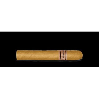 Dominican Estates Robusto 1 Zigarre