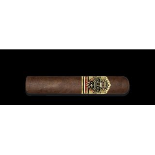Ashton VSG Pegasus (Robusto Grande) 1 Zigarre