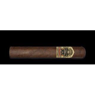 Ashton VSG Wizard (Double Toro) 1 Zigarre